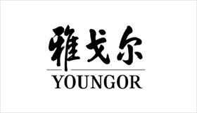 YOUNGOR